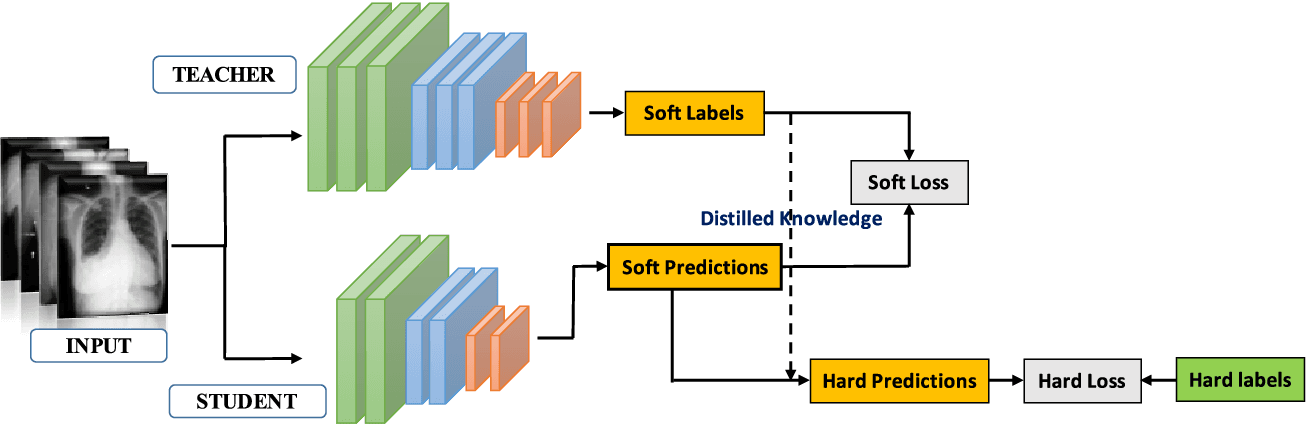 Standard KD – a student model learns from the teacher model’s guidance (soft loss) and ground-truth labels (hard loss)